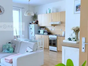 Pronájem bytu 2+kk, Zlín, Březnická, 47 m2