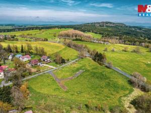 Prodej pozemku pro bydlení, Zádub-Závišín - Zádub, 10834 m2