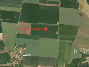 Prodej pole, Černuc - Miletice, 7167 m2