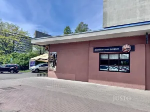 Prodej obchodního prostoru, Ústí nad Labem, Pod Parkem, 75 m2
