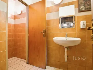 Prodej obchodního prostoru, Ústí nad Labem, Pod Parkem, 75 m2