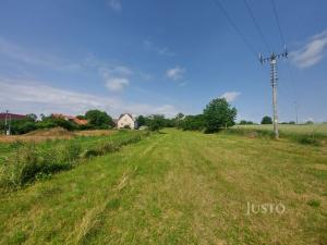 Prodej pozemku pro bydlení, Dražíč, 2918 m2
