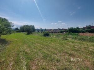 Prodej pozemku pro bydlení, Dražíč, 2918 m2