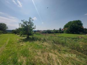 Prodej pozemku pro bydlení, Dražíč, 2918 m2