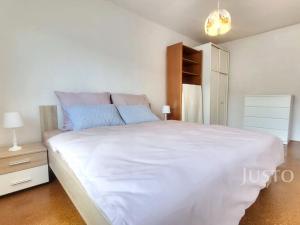 Prodej rodinného domu, Písek - Budějovické Předměstí, Jeronýmova, 231 m2