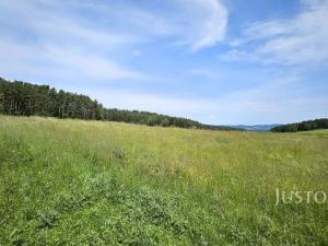 Prodej pozemku pro bydlení, Dobev - Velké Nepodřice, 8980 m2