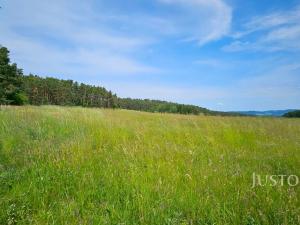 Prodej pozemku pro bydlení, Dobev - Velké Nepodřice, 8980 m2