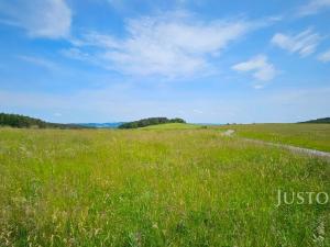 Prodej pozemku pro bydlení, Dobev - Velké Nepodřice, 8980 m2