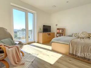 Prodej rodinného domu, Písek, Nová, 276 m2