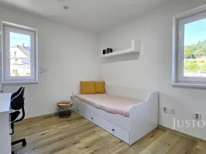 Prodej rodinného domu, Písek, Nová, 276 m2