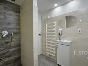 Prodej rodinného domu, Písek, Nová, 276 m2