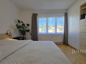Prodej bytu 3+1, Písek, Za Pazdernou, 74 m2