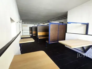Prodej vícegeneračního domu, Písek, V Koutě, 786 m2