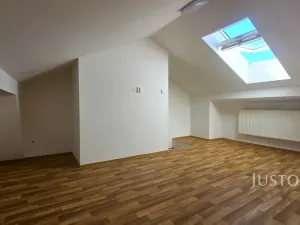 Prodej vícegeneračního domu, Písek, V Koutě, 786 m2