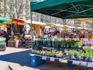 Pronájem bytu 4+kk, Praha - Vinohrady, Slavíkova, 85 m2