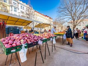 Pronájem bytu 4+kk, Praha - Vinohrady, Slavíkova, 85 m2