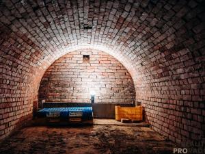 Prodej vinného sklepa, Mikulčice, 65 m2