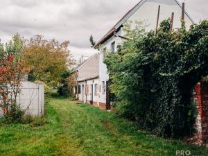 Prodej vinného sklepa, Mikulčice, 65 m2