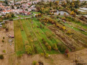 Prodej vinného sklepa, Mikulčice, 65 m2