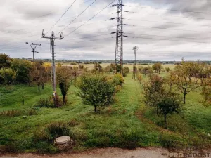 Prodej vinného sklepa, Mikulčice, 65 m2