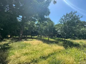 Prodej bytu 2+kk, Montesilvano,Itálie, 36 m2