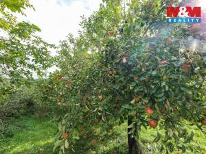 Prodej pozemku pro bydlení, Štichov, 1028 m2