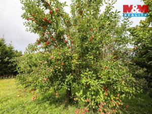 Prodej pozemku pro bydlení, Štichov, 2058 m2