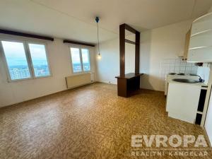 Prodej bytu 1+kk, Plzeň - Severní Předměstí, Hodonínská, 32 m2