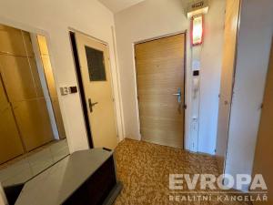 Prodej bytu 1+kk, Plzeň - Severní Předměstí, Hodonínská, 32 m2