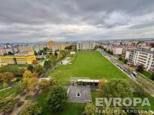 Prodej bytu 1+kk, Plzeň - Severní Předměstí, Hodonínská, 32 m2