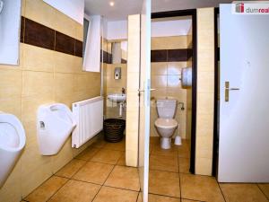 Prodej komerční nemovitosti, Doksy, Komenského, 254 m2