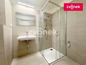 Pronájem bytu 1+kk, Zlín, Nad Stráněmi, 37 m2