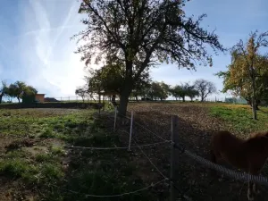 Prodej rodinného domu, Vinary - Smidarská Lhota, 160 m2