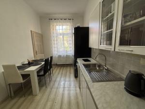 Pronájem bytu 1+1, České Budějovice - České Budějovice 6, Mánesova, 44 m2