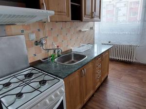 Pronájem bytu 1+1, Ústí nad Labem, Stará, 38 m2