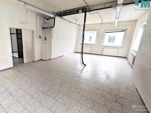 Prodej komerční nemovitosti, Třebíč, Koželužská, 838 m2