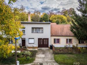 Prodej vícegeneračního domu, Klobouky u Brna - Bohumilice, 420 m2