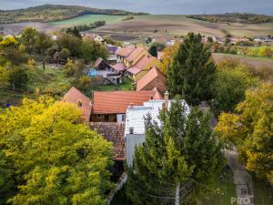 Prodej vícegeneračního domu, Klobouky u Brna - Bohumilice, 420 m2