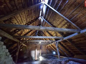 Prodej historického objektu, Pavlov, 1175 m2