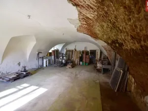 Prodej historického objektu, Pavlov, 1175 m2