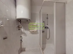 Prodej bytu 2+1, Teplice, Americká, 53 m2