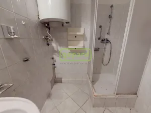 Prodej bytu 2+1, Teplice, Americká, 53 m2