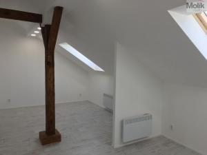 Pronájem bytu 1+kk, Teplice - Řetenice, Smetanova, 30 m2