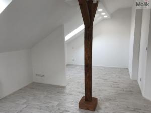 Pronájem bytu 1+kk, Teplice - Řetenice, Smetanova, 30 m2