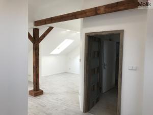 Pronájem bytu 1+kk, Teplice - Řetenice, Smetanova, 30 m2