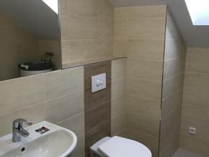 Pronájem bytu 1+kk, Teplice - Řetenice, Smetanova, 30 m2