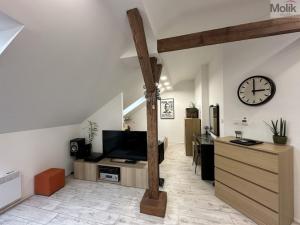 Pronájem bytu 2+kk, Teplice - Řetenice, Smetanova, 50 m2