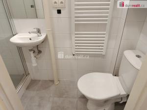 Pronájem bytu 1+kk, Praha - Vršovice, Novgorodská, 30 m2