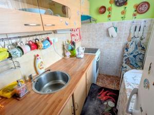 Prodej bytu 2+kk, Litoměřice, U Kapličky, 42 m2