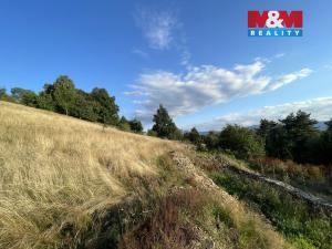 Prodej rodinného domu, Chrastava - Horní Vítkov, 270 m2